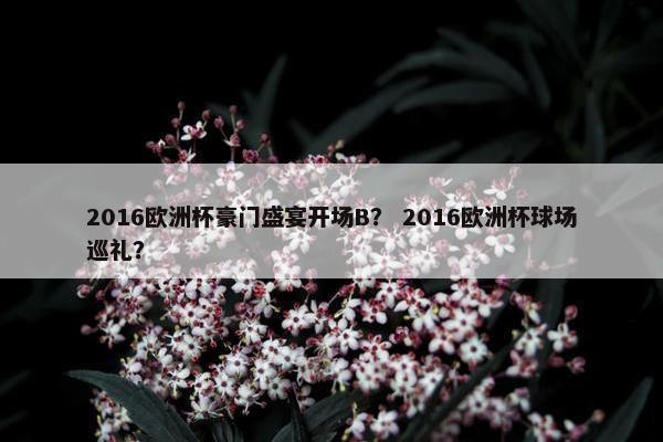 2016欧洲杯豪门盛宴开场B？ 2016欧洲杯球场巡礼？