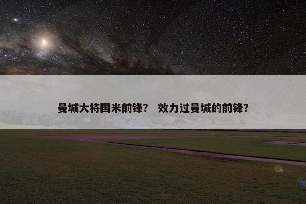 曼城大将国米前锋？ 效力过曼城的前锋？