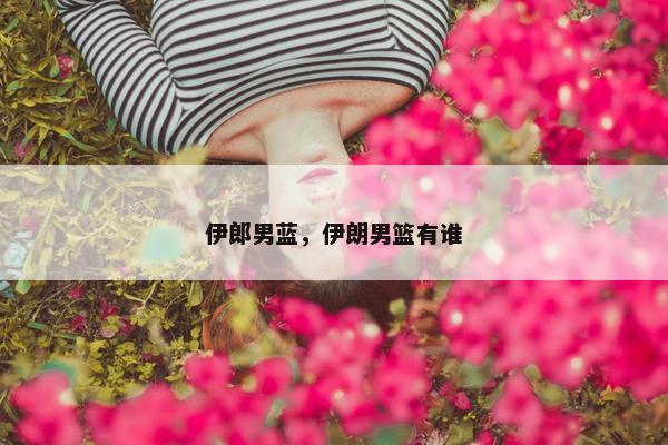 伊郎男蓝，伊朗男篮有谁