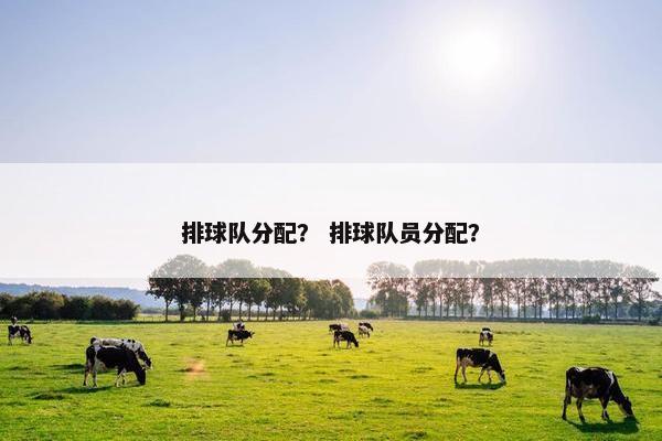 排球队分配？ 排球队员分配？