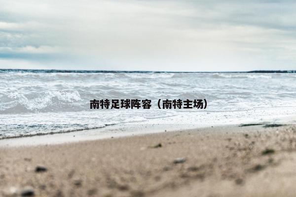 南特足球阵容（南特主场）