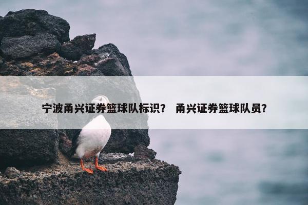宁波甬兴证券篮球队标识？ 甬兴证券篮球队员？