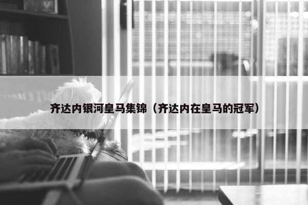 齐达内银河皇马集锦（齐达内在皇马的冠军）