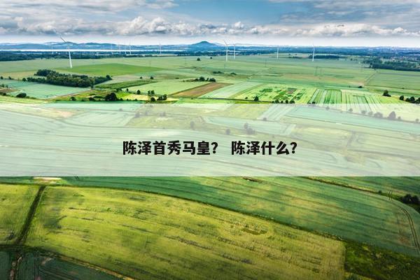 陈泽首秀马皇？ 陈泽什么？