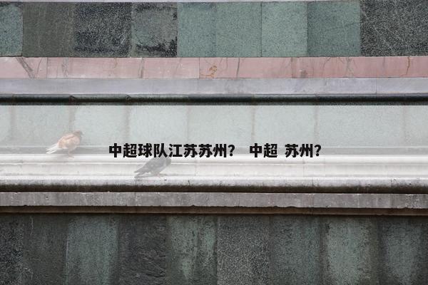 中超球队江苏苏州？ 中超 苏州？