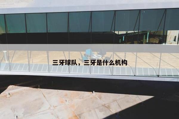 三牙球队，三牙是什么机构