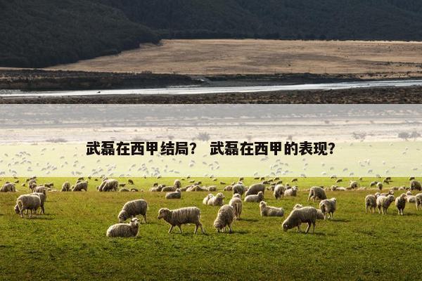 武磊在西甲结局？ 武磊在西甲的表现？