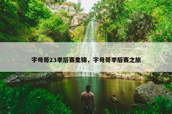 字母哥23季后赛集锦，字母哥季后赛之旅
