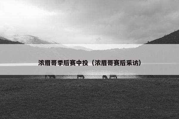 浓眉哥季后赛中投（浓眉哥赛后采访）