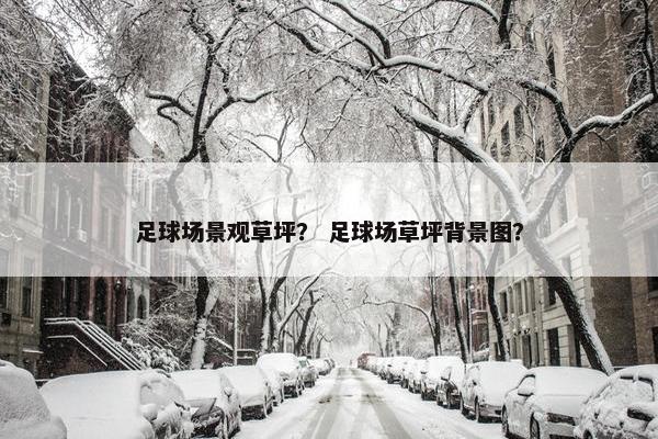 足球场景观草坪？ 足球场草坪背景图？