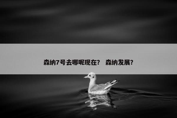 森纳7号去哪呢现在？ 森纳发展？