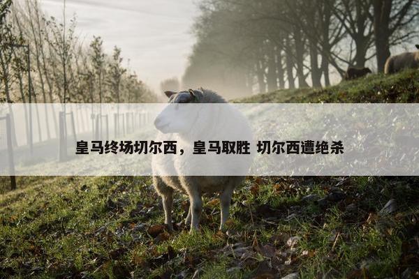 皇马终场切尔西，皇马取胜 切尔西遭绝杀