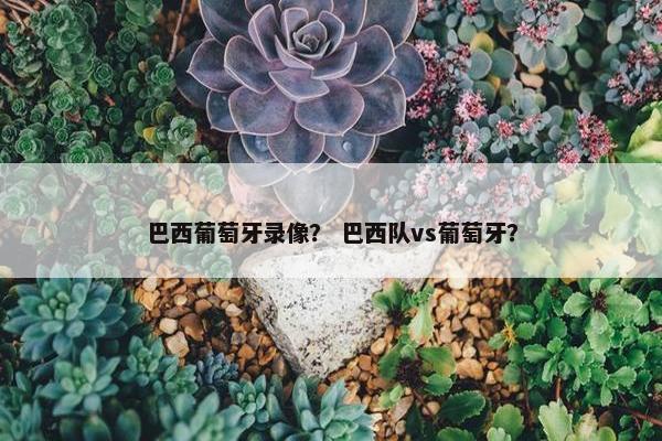 巴西葡萄牙录像？ 巴西队vs葡萄牙？