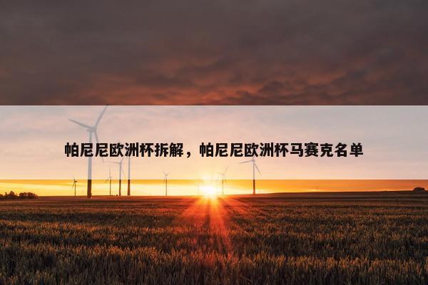帕尼尼欧洲杯拆解，帕尼尼欧洲杯马赛克名单