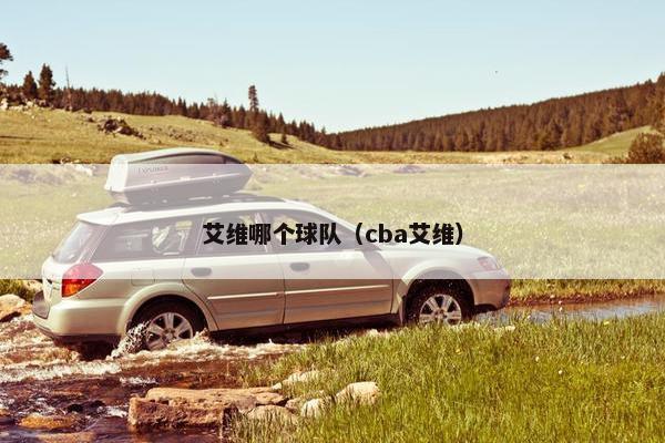 艾维哪个球队（cba艾维）