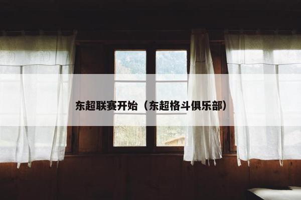 东超联赛开始（东超格斗俱乐部）