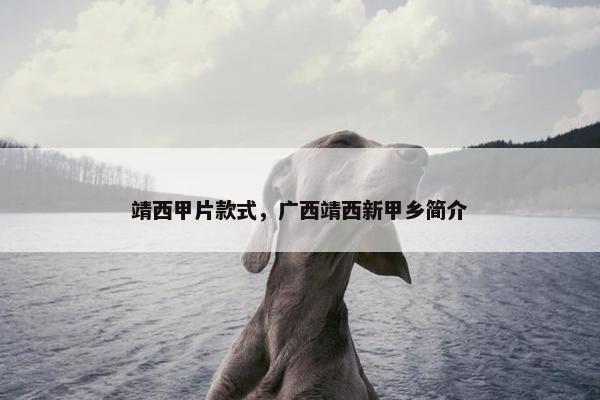 靖西甲片款式，广西靖西新甲乡简介