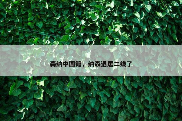 森纳中国籍，纳森退居二线了