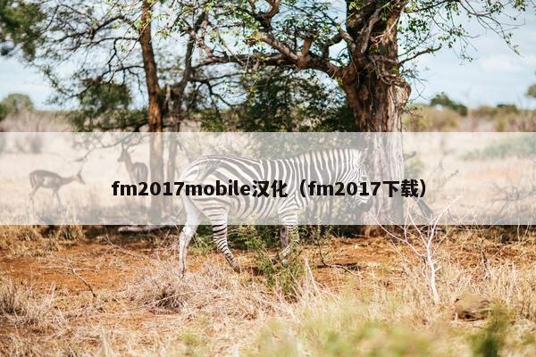 fm2017mobile汉化（fm2017下载）