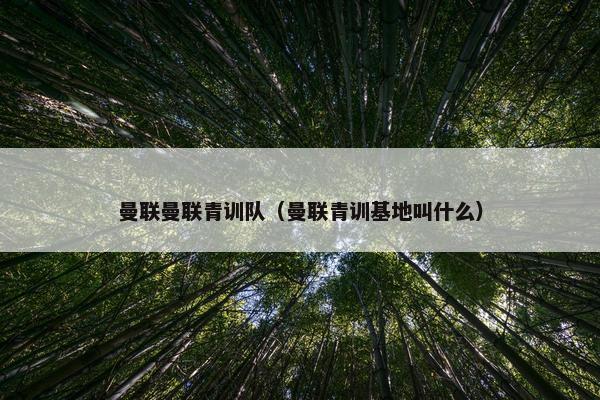 曼联曼联青训队（曼联青训基地叫什么）