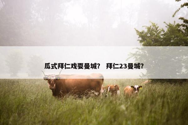 瓜式拜仁戏耍曼城？ 拜仁23曼城？