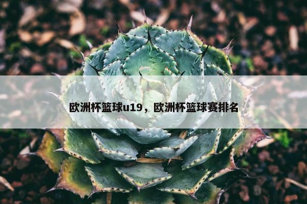 欧洲杯篮球u19，欧洲杯篮球赛排名
