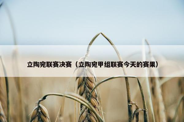 立陶宛联赛决赛（立陶宛甲组联赛今天的赛果）