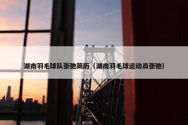 湖南羽毛球队张弛简历（湖南羽毛球运动员张弛）