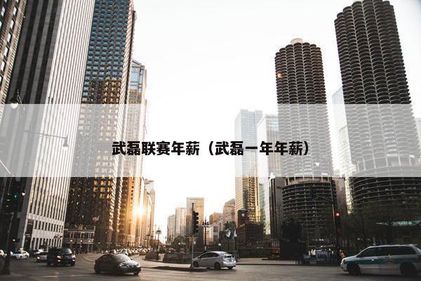 武磊联赛年薪（武磊一年年薪）