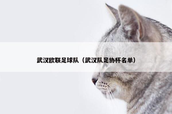 武汉欧联足球队（武汉队足协杯名单）