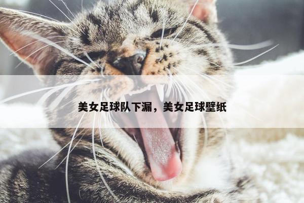 美女足球队下漏，美女足球壁纸