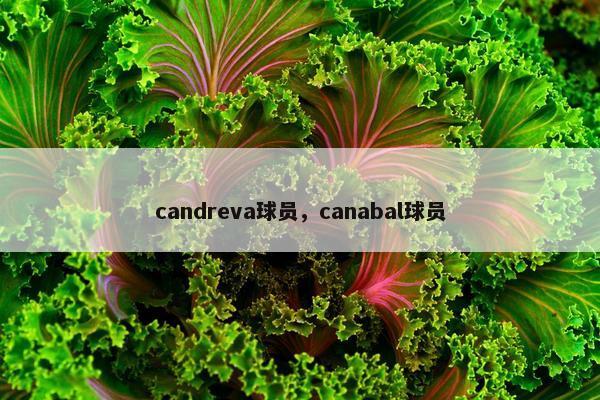 candreva球员，canabal球员