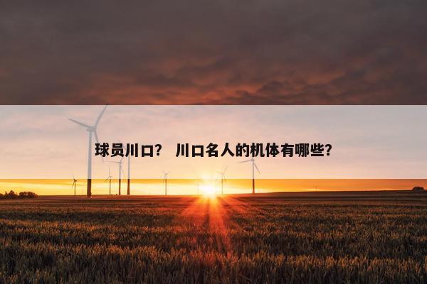 球员川口？ 川口名人的机体有哪些？