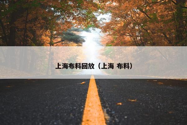 上海布料回放（上海 布料）