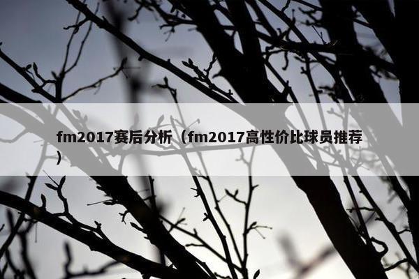 fm2017赛后分析（fm2017高性价比球员推荐）