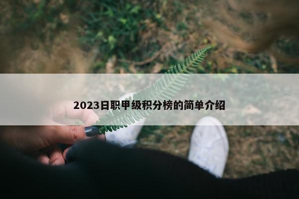 2023日职甲级积分榜的简单介绍
