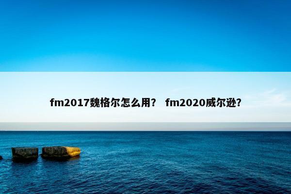 fm2017魏格尔怎么用？ fm2020威尔逊？