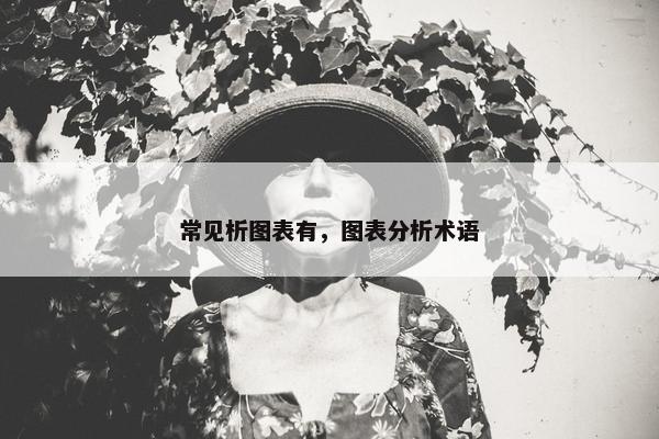 常见析图表有，图表分析术语