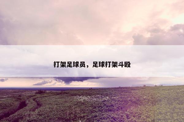 打架足球员，足球打架斗殴