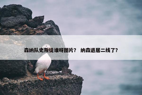森纳队史叛徒谁呀图片？ 纳森退居二线了？