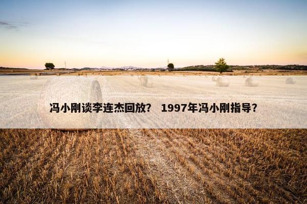 冯小刚谈李连杰回放？ 1997年冯小刚指导？