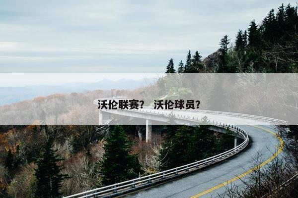 沃伦联赛？ 沃伦球员？
