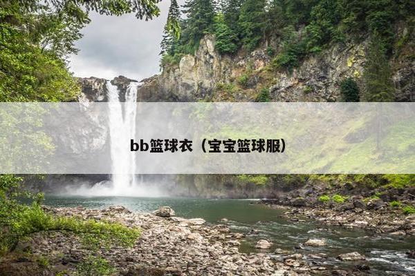 bb篮球衣（宝宝篮球服）