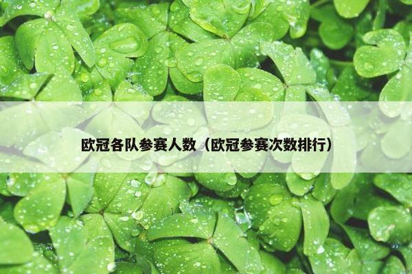 欧冠各队参赛人数（欧冠参赛次数排行）