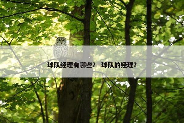 球队经理有哪些？ 球队的经理？