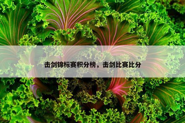 击剑锦标赛积分榜，击剑比赛比分