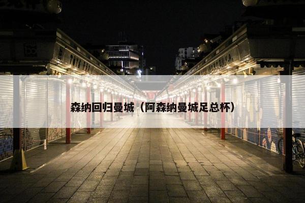 森纳回归曼城（阿森纳曼城足总杯）