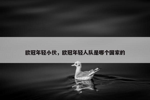 欧冠年轻小伙，欧冠年轻人队是哪个国家的