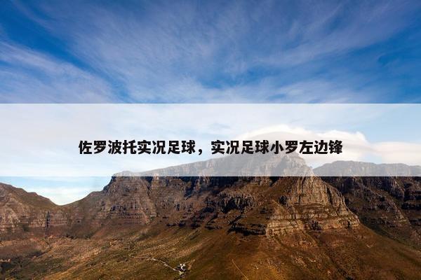 佐罗波托实况足球，实况足球小罗左边锋