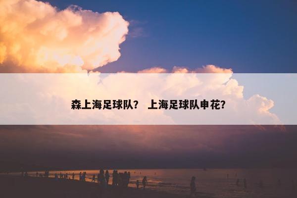森上海足球队？ 上海足球队申花？